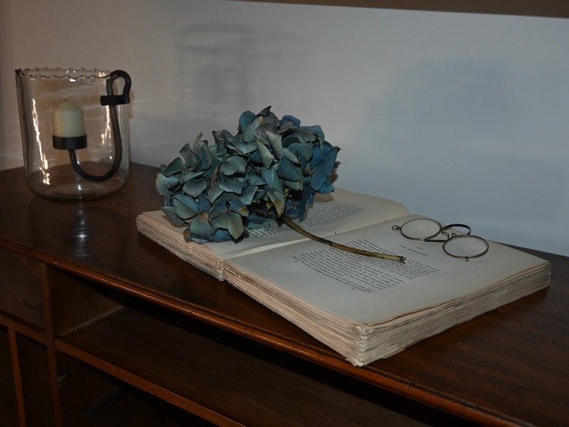 chambre-lespinasse-SdB